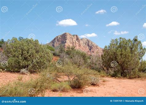 Arizona Desert Landscape Royalty Free Stock Images - Image: 7209709