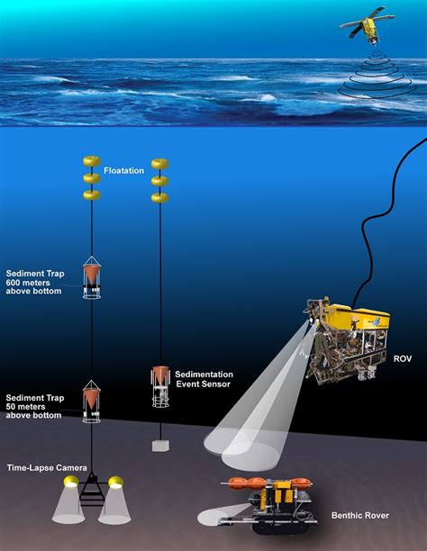 New papers describe discoveries at MBARI’s long-term deep-sea research site off California • MBARI