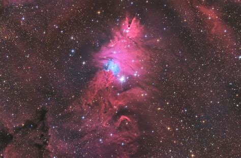 The Fascinating Cone Nebula and Christmas Tree Cluster - VisibleDark