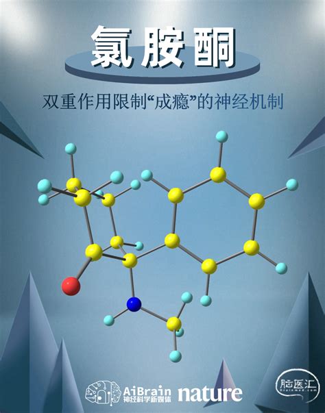 Nature丨Lüscher教授团队成功揭示氯胺酮双重作用限制“成瘾”的神经机制 - 脑医汇 - 神外资讯 - 神介资讯