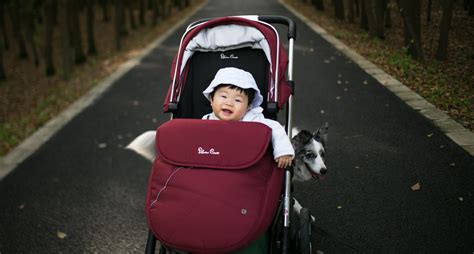 Stroller Safety: Features Parents Need to Look for When Buying