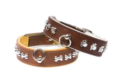 9 Tips for Leash Training a Puppy - PatchPuppy.com