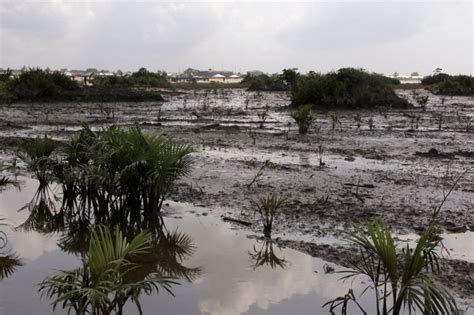 Niger Delta oil spills bring poverty, low crop yields to farmers | Environment | Al Jazeera