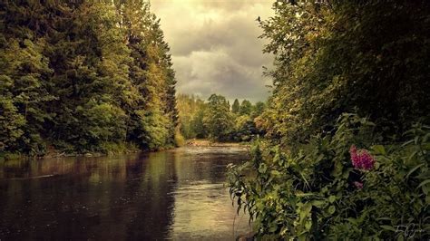 Vantaa, Finland by Pajunen | River, Scenery, Landscape