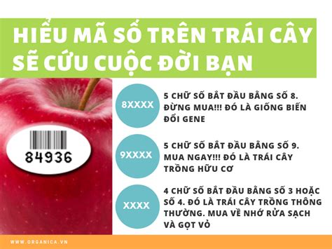 Mã Vạch Trên Hoa Quả » VIETNAMSINO.COM