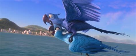 File:Blu finally flies!.jpg (With images) | Rio movie, Blue sky studios ...