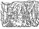 20  Jungle Coloring Pages Free Printable PDF JPG PNG & Online Coloring sketch template
