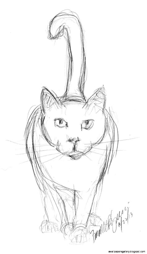 Easy Cat Drawings In Pencil | Wallpapers Gallery