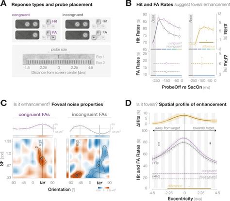 Foveal vision anticipates defining features of eye movement targets | eLife