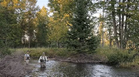 Fishing Hemingway's Last Good Country in Michigan - The Wading List