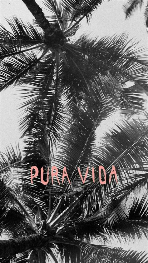 Pura Vida Wallpapers - Wallpaper Cave