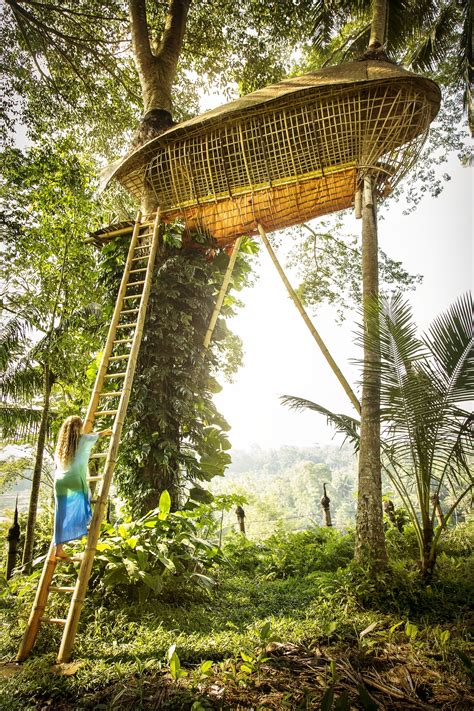 The 16 Unique Treehouse Hotel Designs