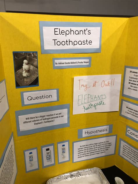 Elephant Toothpaste Science Fair Project