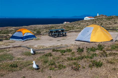 Everything You Need to Know About Channel Islands Camping » The Parks Expert