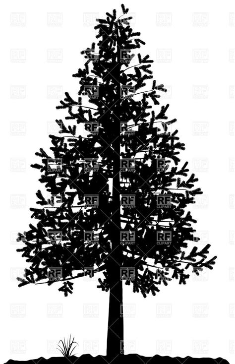 Fir Tree Silhouette Vector at Vectorified.com | Collection of Fir Tree ...