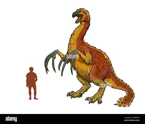 Herbivorous dinosaur - Therizinosaurus. Comparison between dinosaur and human Stock Photo - Alamy