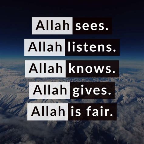 30+ Beautiful Allah knows Quotes (with images) | islamtics