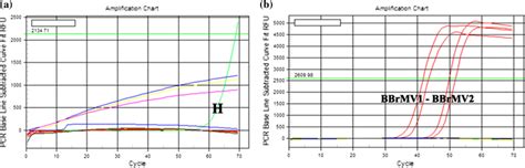 Development of RT-LAMP and IC-RT-LAMP assays for detection of BBrMV in... | Download Scientific ...