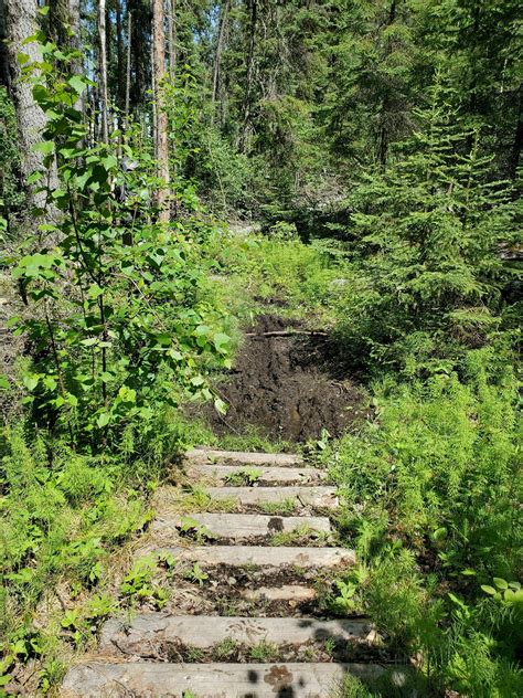 Nut Point Trail - Saskatchewan, Canada | AllTrails