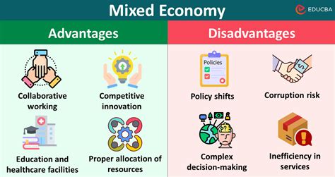 16 Advantages and Disadvantages of Mixed Economy + Examples