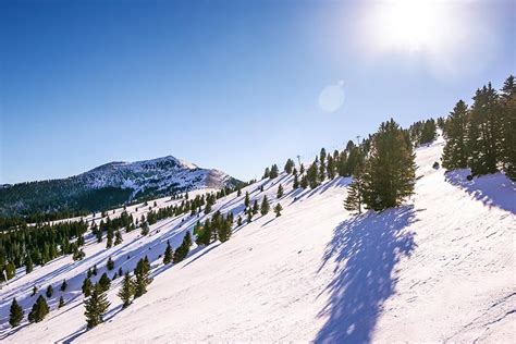 The Best New Mexico Ski Resort Is Here At Ski Apache