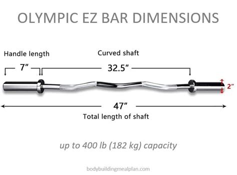 EZ Curl Bar Weight Product Comparisons (2023) Garage Gym Lab | lupon.gov.ph