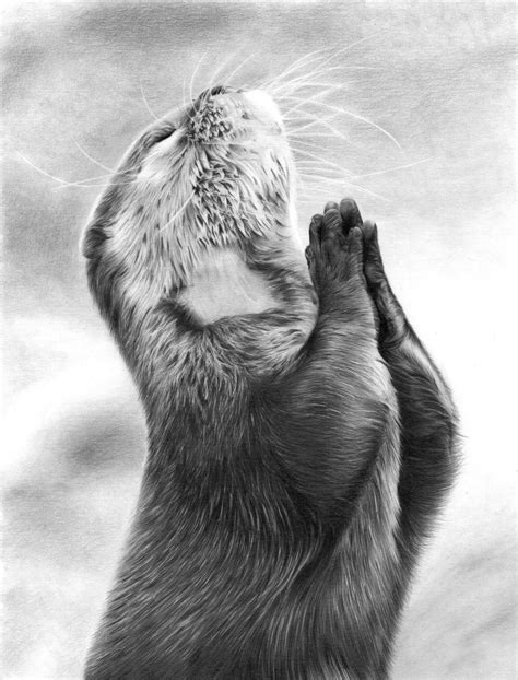 OTTER | KevsArt.com Pencil Drawings Of Animals, Realistic Pencil ...