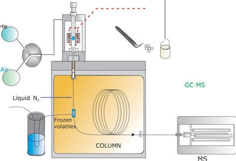 Figure . Py-GC/MS testing process diagram. | Download Scientific Diagram