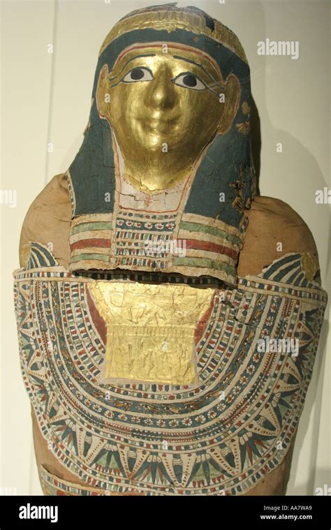 Alabama Anniston,Museum of Natural History,Egyptian mummy 250B.C.,adult ...