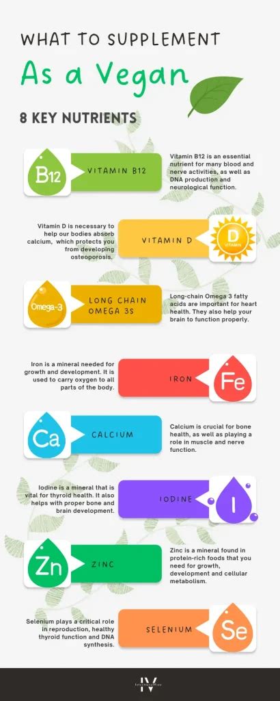 Vitamins for Vegans | Potential Nutrient Deficiencies Explained