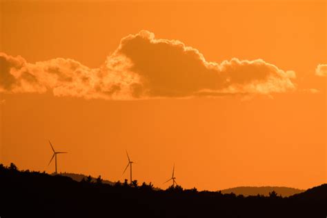 Wind Turbines at Sunset • Free Nature Stock Photo