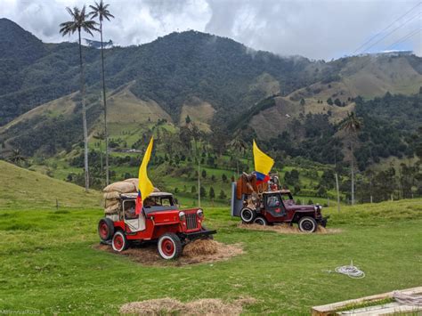 Hiking Cocora Valley - Millennial Road