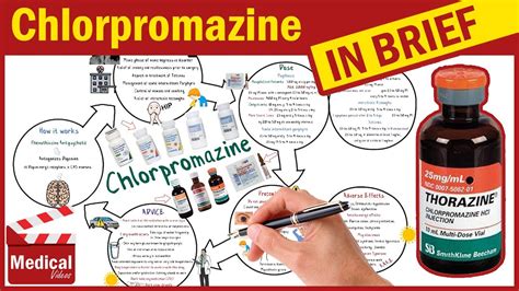 Chlorpromazine Hydrochloride ( Thorazine ): What is Chlorpromazine ...