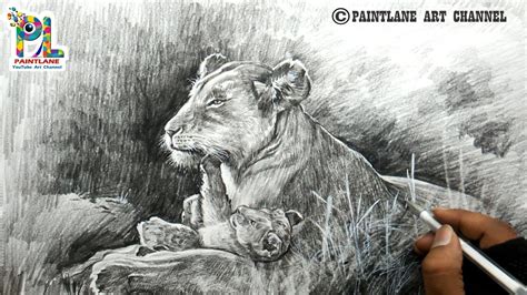 How to draw Female Lion and Cub Shading With Pencil | Easy Pencil ...