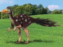 Dromaeosaurus | Dino Dan Show Wiki | Fandom