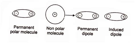 Dipole-Induced Dipole Intermolecular Forces | Chemistry Skills