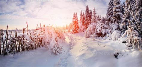 winter landscape trees in frost 6946787 Stock Photo at Vecteezy