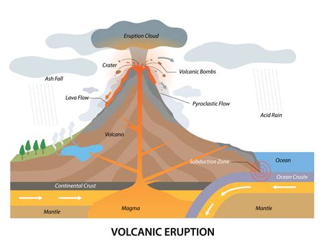 estrutura do processo de erupção vulcânica com vista lateral geológica 10935321 Vetor no Vecteezy