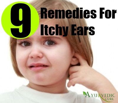 9 Herbal Remedies To Stop Itchiness In The Ears | Itchy ears remedies, Itchy ears, Herbalism