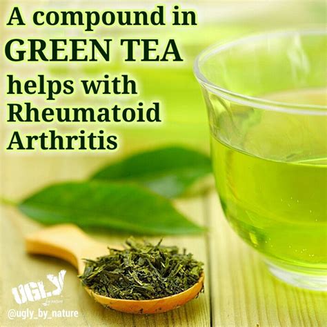 Green tea compound helps with Rheumatoid Arthritis - UGLY by nature