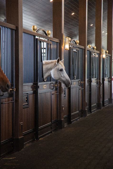 Blackwood Equestrian Stalls Accentuates Bespoke Design in the Modern ...