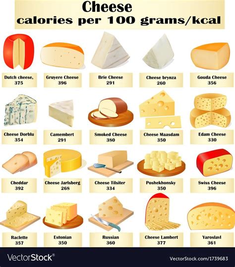 Set of different kinds of cheese Royalty Free Vector Image | Kinds of ...