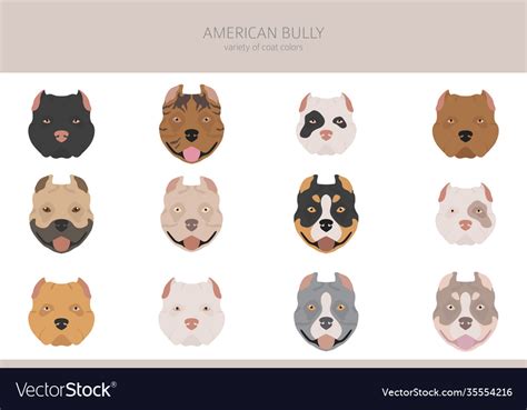 American bully dogs set color varieties different Vector Image