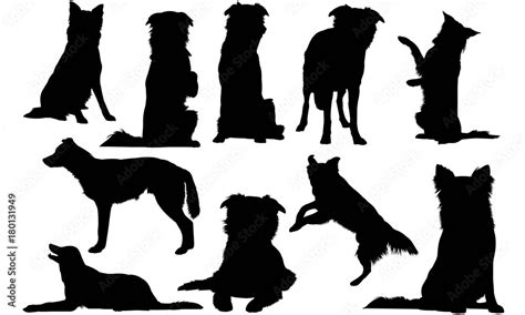 Border Collie Dog Silhouette Vector Graphics Stock Vector | Adobe Stock