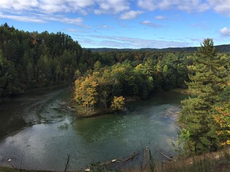 Manistee National Forest (Manistee River), United States, Mi [1920x1080] : r/EarthPorn