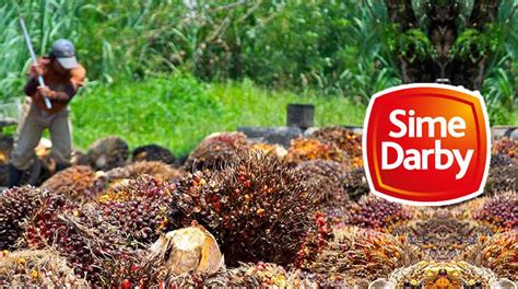 Sime Darby Plantation Menawarkan Peluang Pekerjaan - Mohon Sebelum 31 Oktober 2021 - JAWATAN KERJA