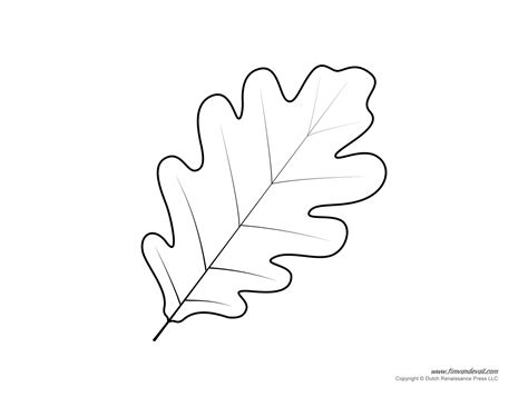 Leaf Templates & Leaf Coloring Pages for Kids | Leaf Printables