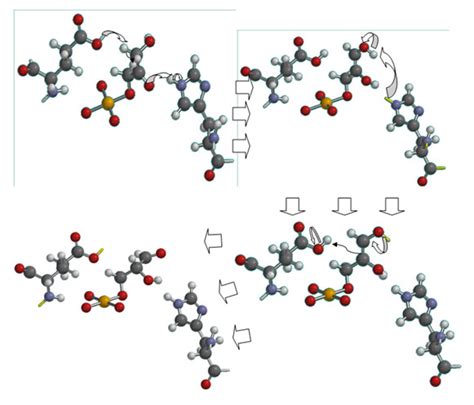 Triose Phosphate Isomerase Structure & Mechanism - Proteopedia, life in 3D