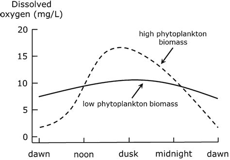 Dissolved Oxygen Graph