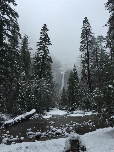 Lower Yosemite Falls in winter (view from site of John Muir's 1869 residence in Yosemite ...